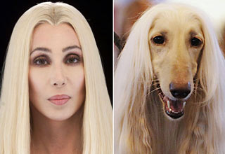 Cher and a dog