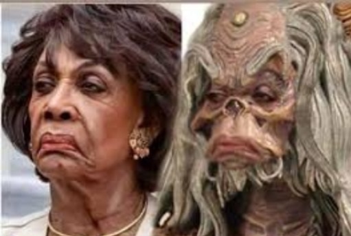 Maxine Waters and an alien